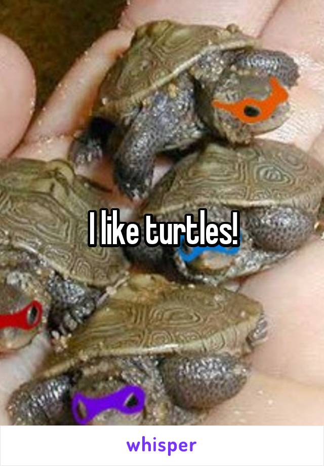 I like turtles!