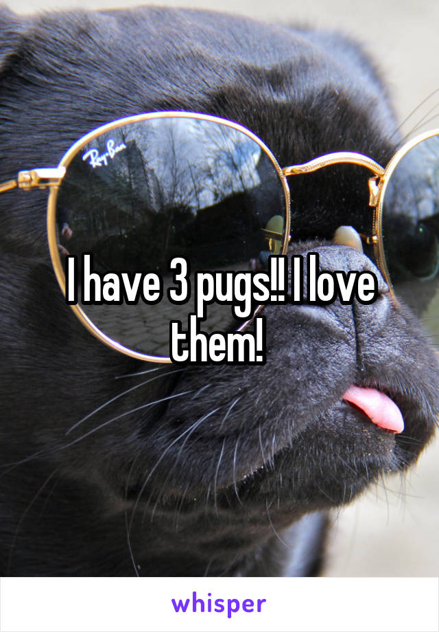 I have 3 pugs!! I love them! 