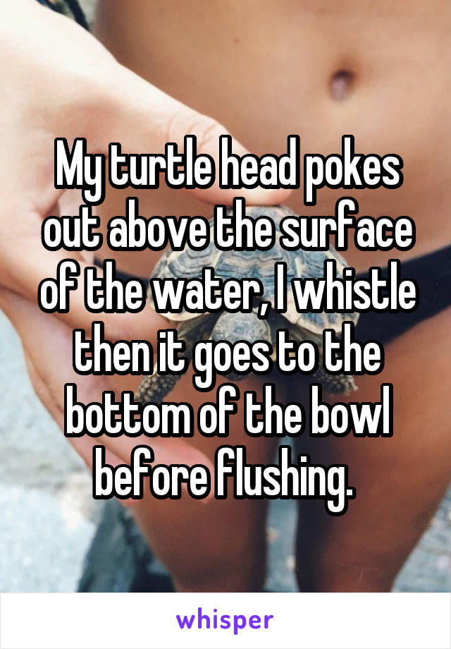 My turtle head pokes out above the surface of the water, I whistle then it goes to the bottom of the bowl before flushing. 