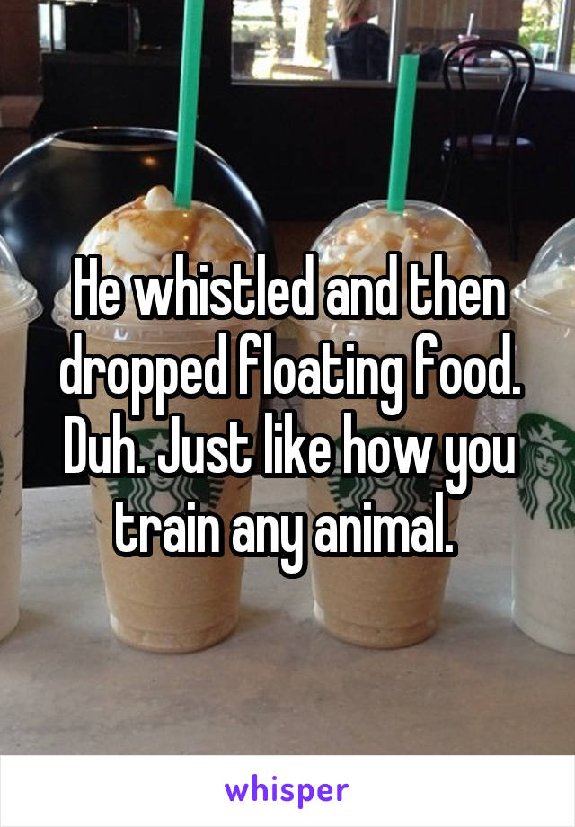 He whistled and then dropped floating food. Duh. Just like how you train any animal. 