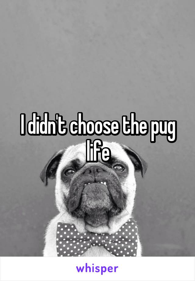 I didn't choose the pug life