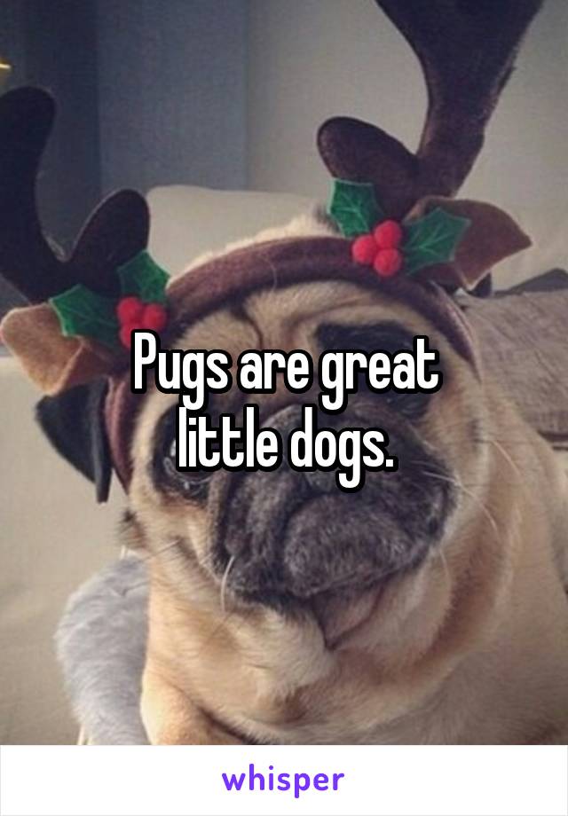 Pugs are great
little dogs.