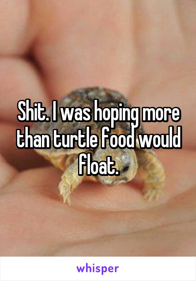 Shit. I was hoping more than turtle food would float.