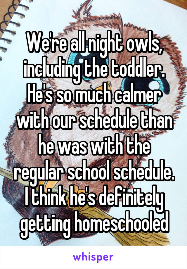 We're all night owls, including the toddler. He's so much calmer with our schedule than he was with the regular school schedule. I think he's definitely getting homeschooled