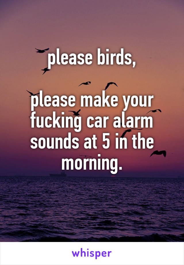 please birds,

please make your fucking car alarm sounds at 5 in the morning.

