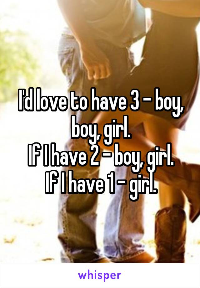 I'd love to have 3 - boy, boy, girl.
If I have 2 - boy, girl.
If I have 1 - girl.