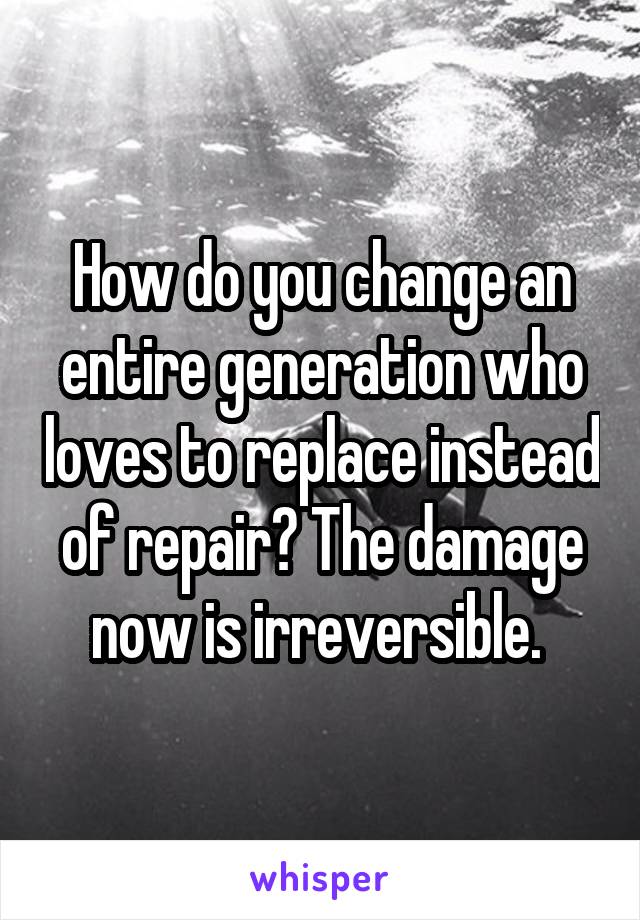 How do you change an entire generation who loves to replace instead of repair? The damage now is irreversible. 