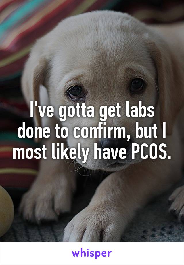 I've gotta get labs done to confirm, but I most likely have PCOS.