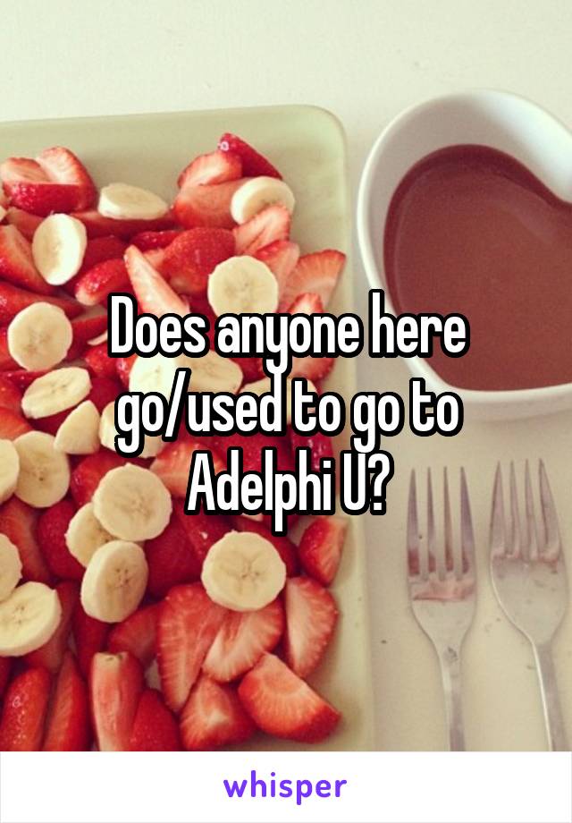 Does anyone here go/used to go to Adelphi U?