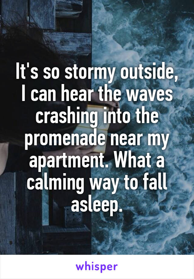 It's so stormy outside, I can hear the waves crashing into the promenade near my apartment. What a calming way to fall asleep.