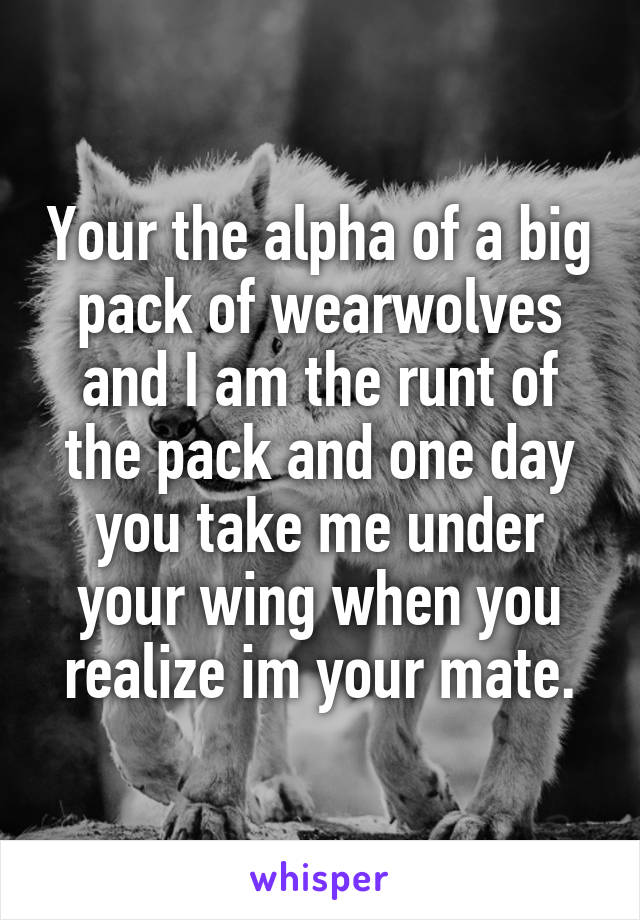 Your the alpha of a big pack of wearwolves and I am the runt of the pack and one day you take me under your wing when you realize im your mate.