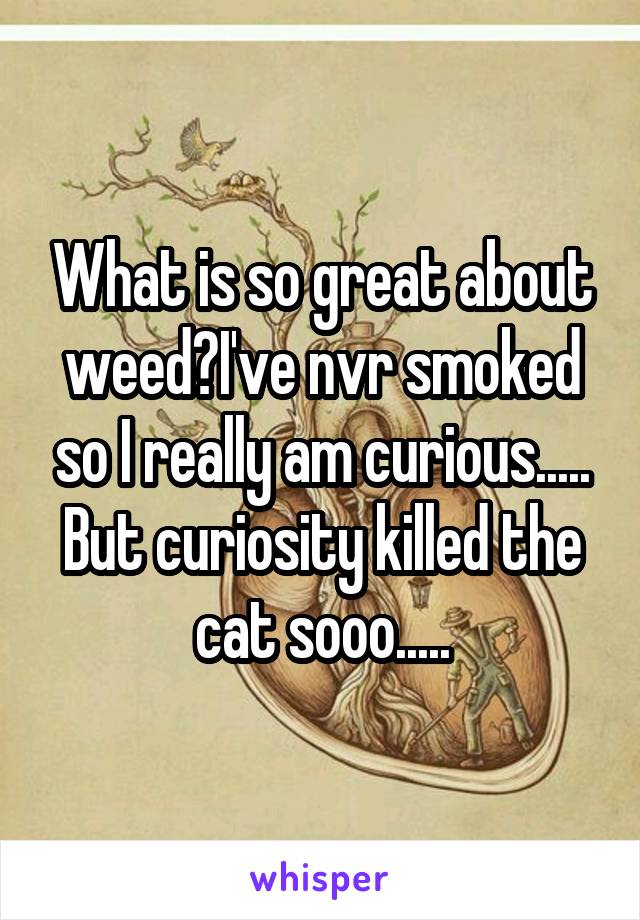 What is so great about weed?I've nvr smoked so I really am curious..... But curiosity killed the cat sooo.....