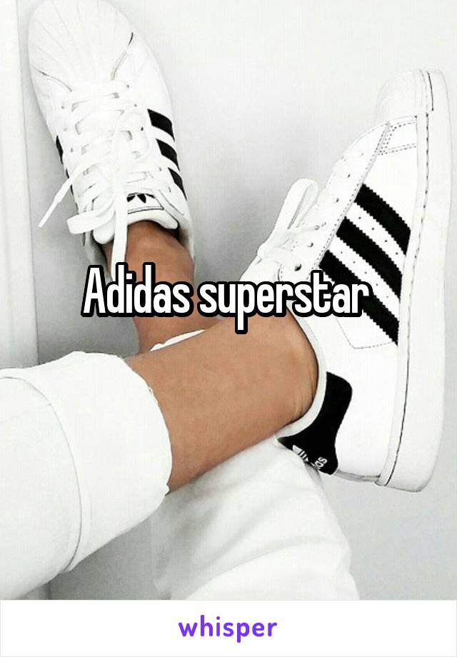 Adidas superstar 
