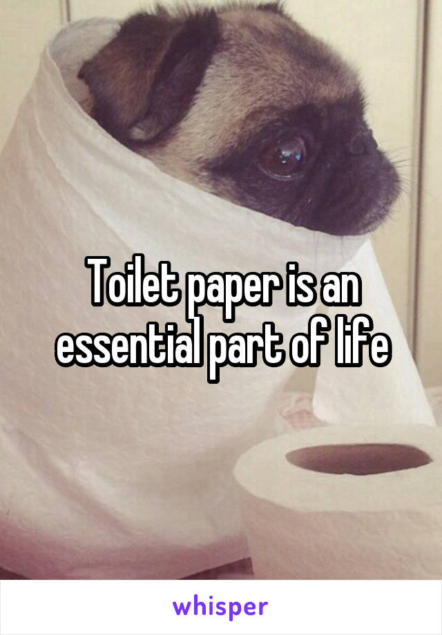 Toilet paper is an essential part of life