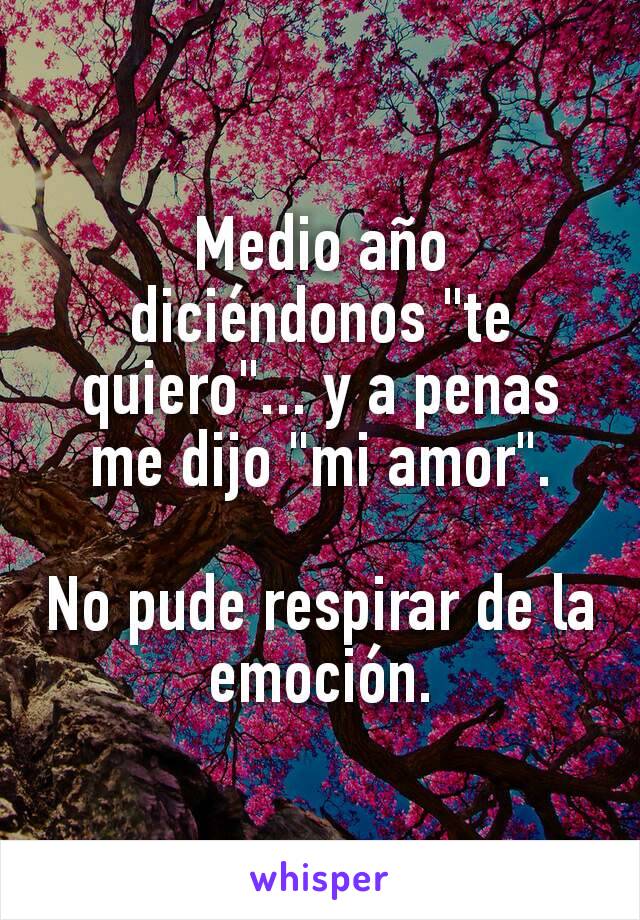 Medio año diciéndonos "te quiero"... y a penas me dijo "mi amor".

No pude respirar de la emoción.