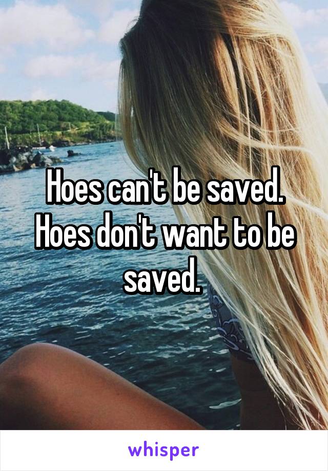 Hoes can't be saved. Hoes don't want to be saved. 