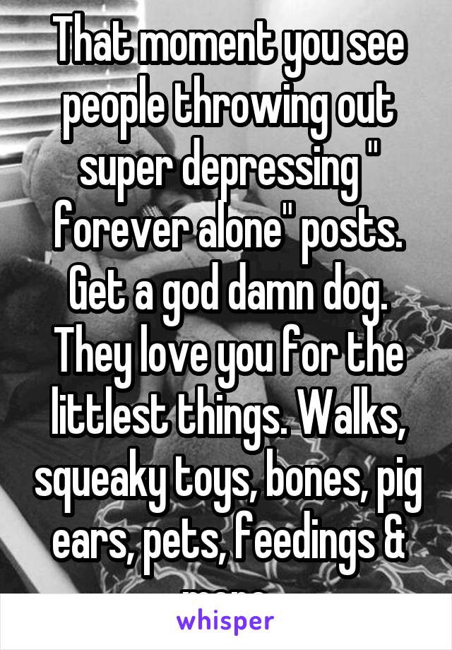 That moment you see people throwing out super depressing " forever alone" posts.
Get a god damn dog. They love you for the littlest things. Walks, squeaky toys, bones, pig ears, pets, feedings & more.