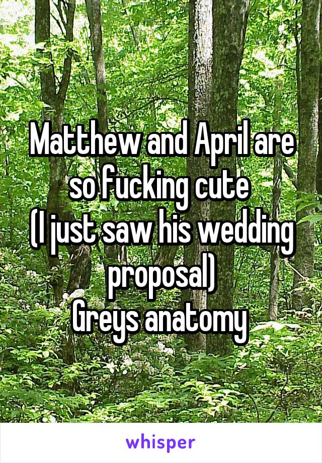 Matthew and April are so fucking cute 
(I just saw his wedding proposal)
Greys anatomy 