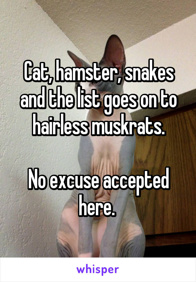 Cat, hamster, snakes and the list goes on to hairless muskrats.

No excuse accepted here. 