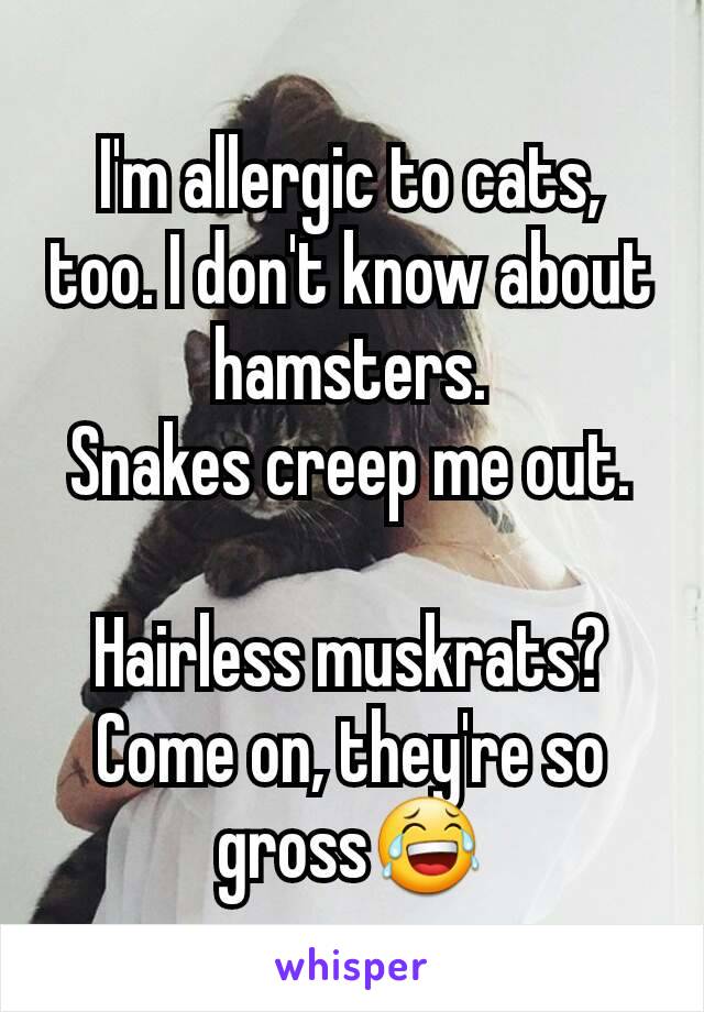 I'm allergic to cats, too. I don't know about hamsters.
Snakes creep me out.

Hairless muskrats? Come on, they're so gross😂