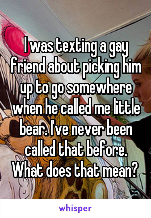 I was texting a gay friend about picking him up to go somewhere when he called me little bear. I've never been called that before. What does that mean? 