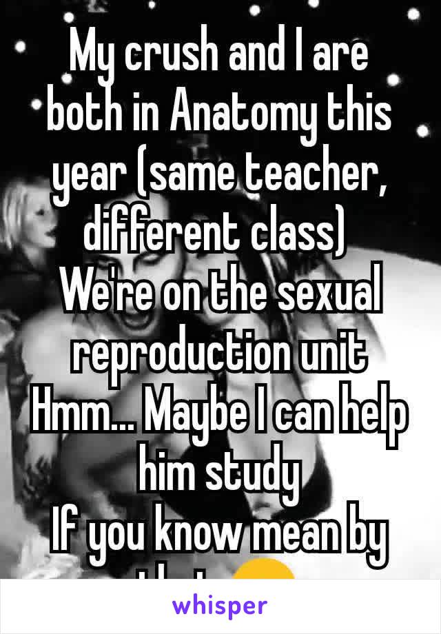 My crush and I are both in Anatomy this year (same teacher, different class) 
We're on the sexual reproduction unit
Hmm... Maybe I can help him study
If you know mean by that 😉