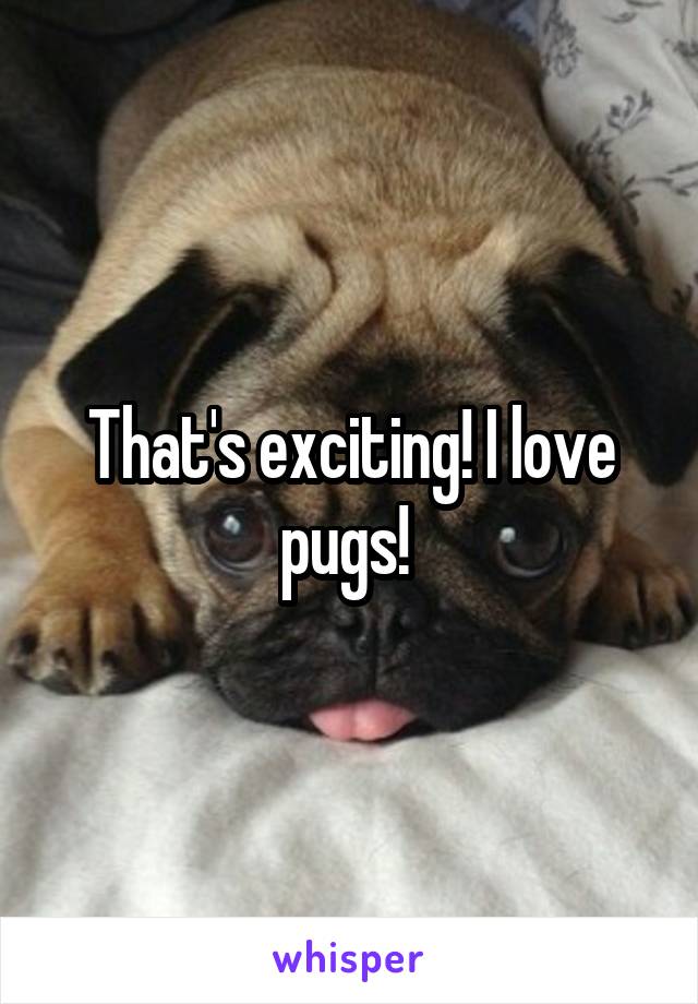 That's exciting! I love pugs! 