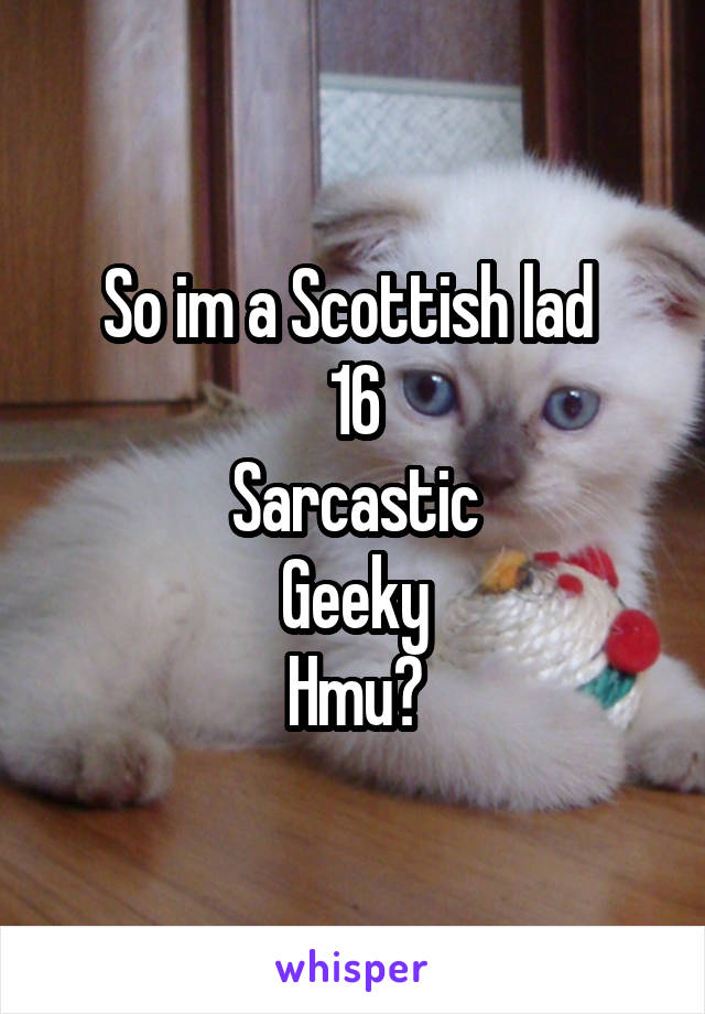 So im a Scottish lad 
16
Sarcastic
Geeky
Hmu?