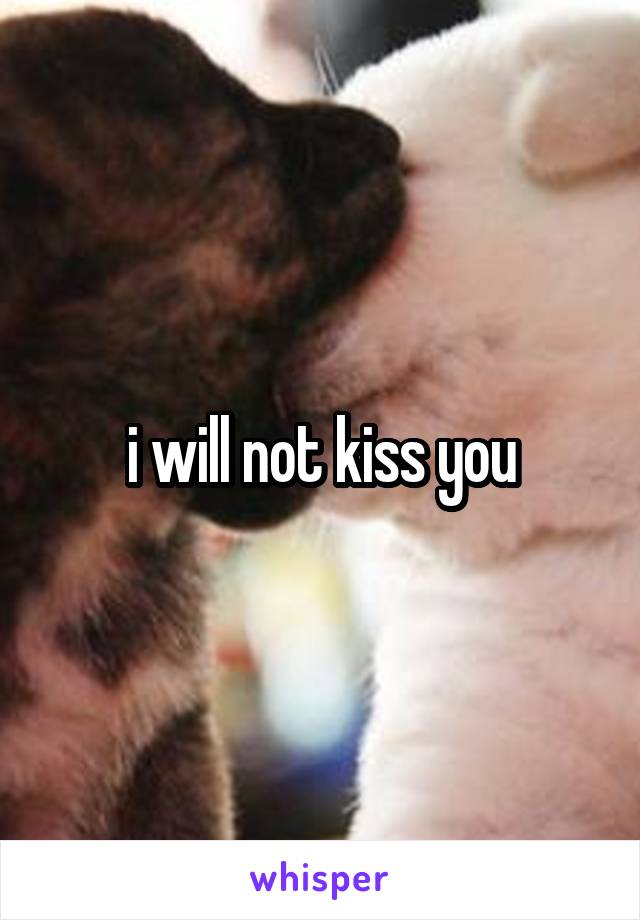 i will not kiss you