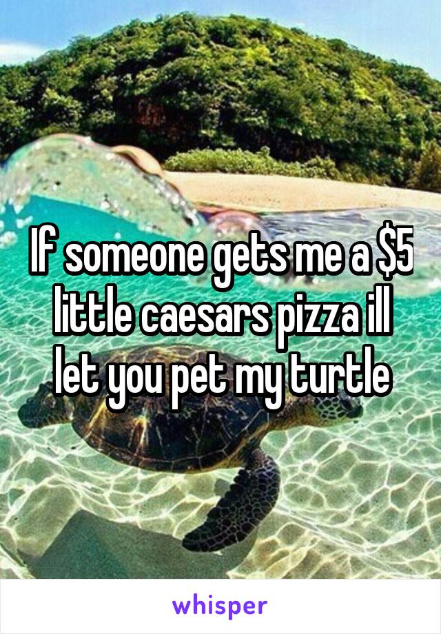 If someone gets me a $5 little caesars pizza ill let you pet my turtle