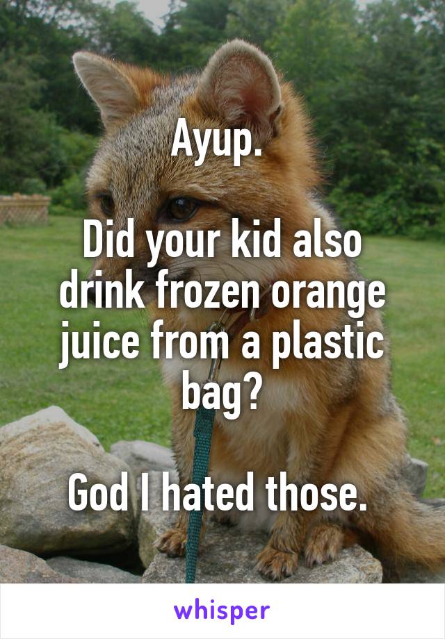 Ayup. 

Did your kid also drink frozen orange juice from a plastic bag?

God I hated those. 