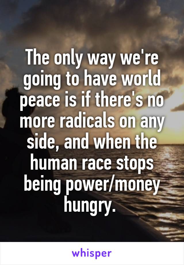 The only way we're going to have world peace is if there's no more radicals on any side, and when the human race stops being power/money hungry. 