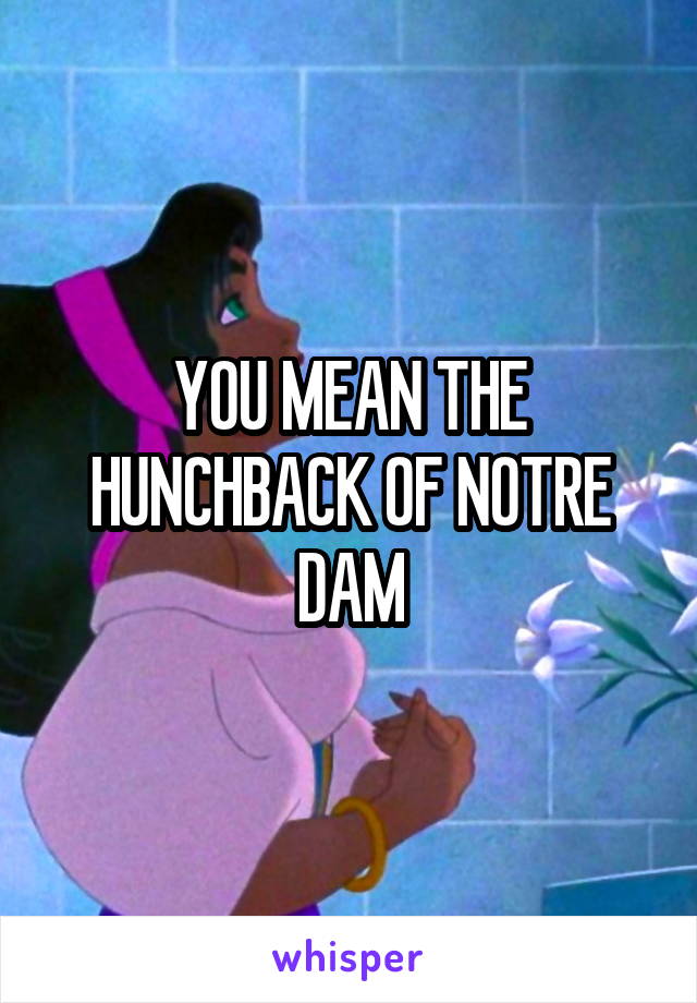 YOU MEAN THE HUNCHBACK OF NOTRE DAM