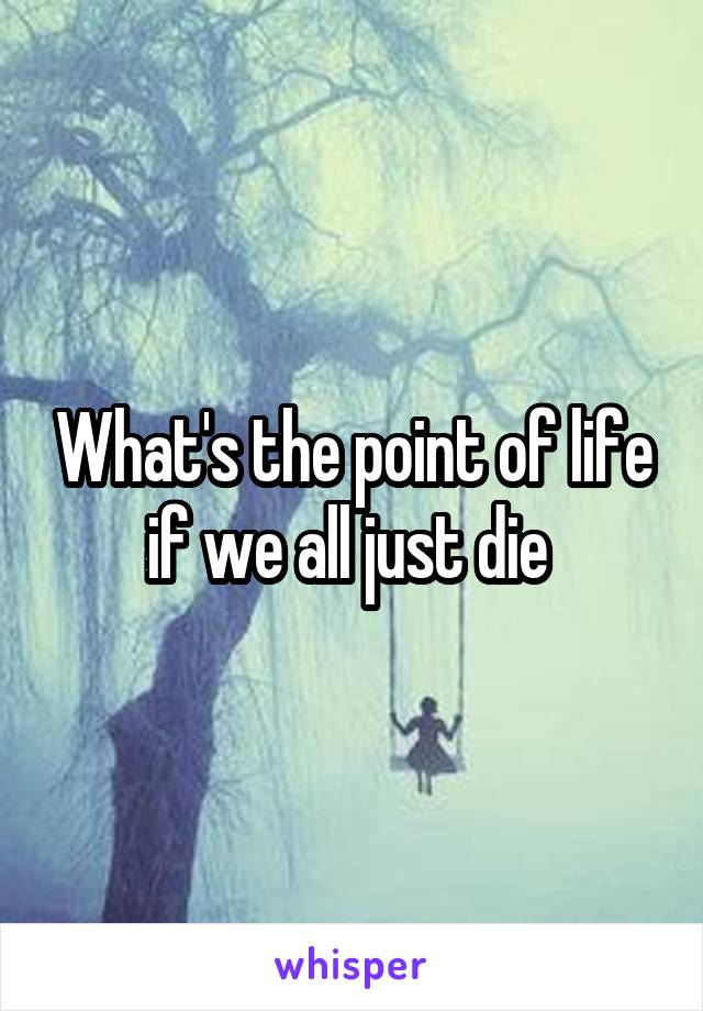 What's the point of life if we all just die 