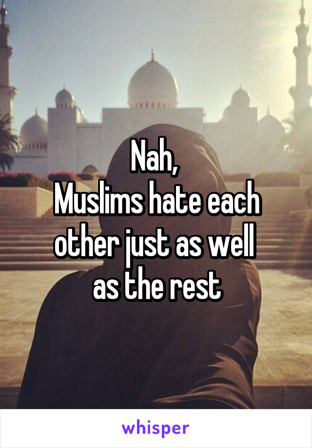 Nah, 
Muslims hate each other just as well 
as the rest