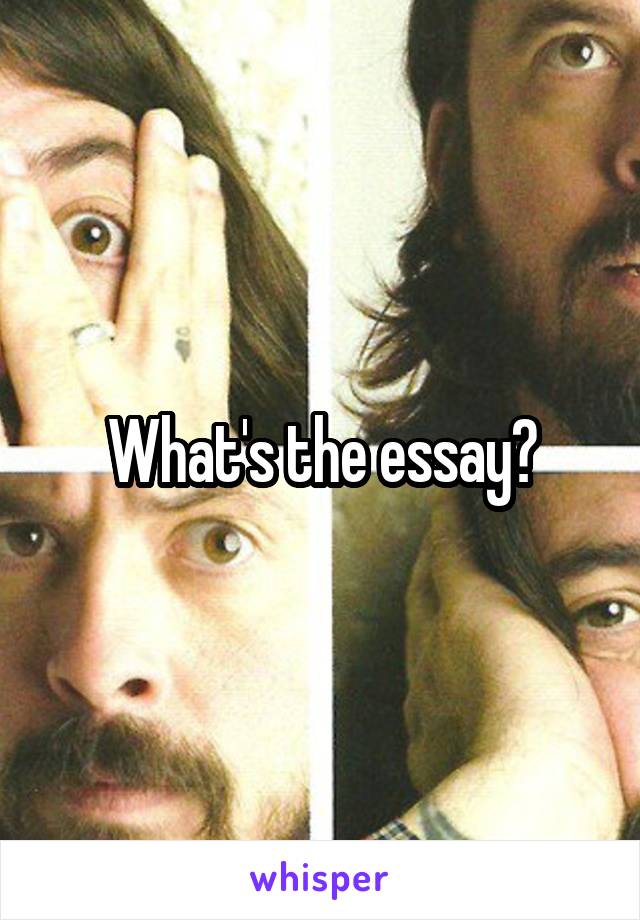 What's the essay?