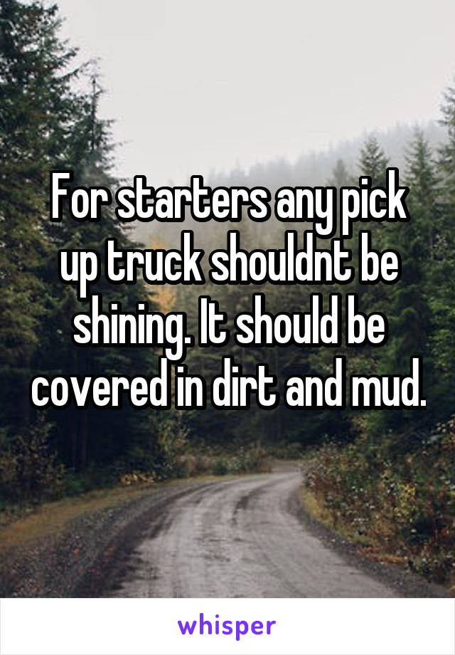 For starters any pick up truck shouldnt be shining. It should be covered in dirt and mud. 