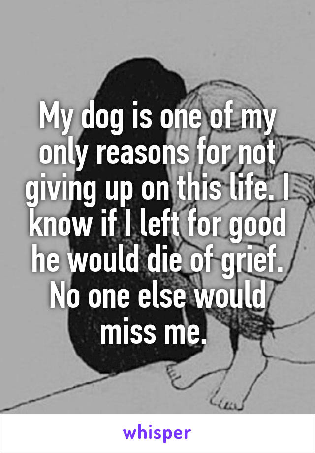 My dog is one of my only reasons for not giving up on this life. I know if I left for good he would die of grief. No one else would miss me. 