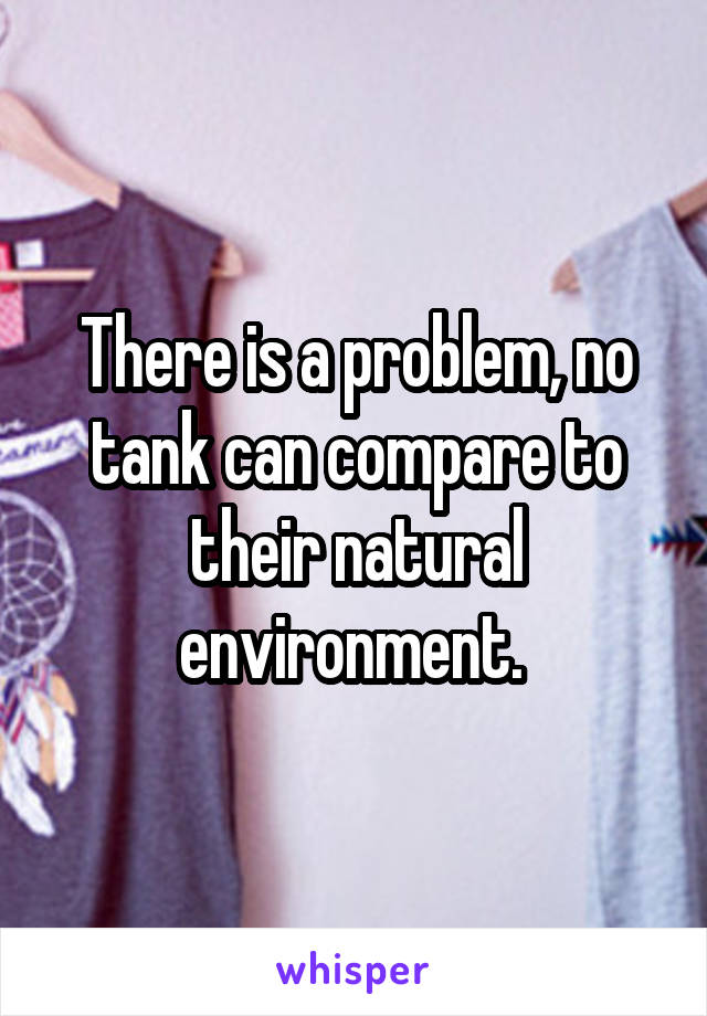 There is a problem, no tank can compare to their natural environment. 