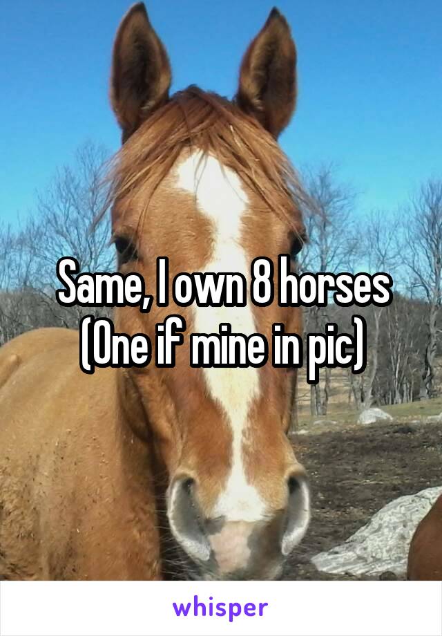 Same, I own 8 horses
(One if mine in pic)