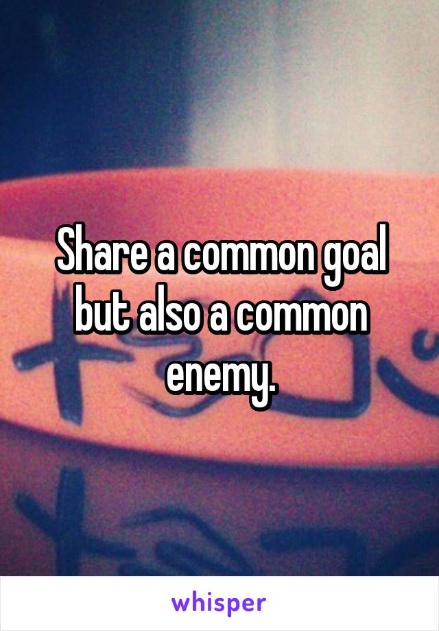 Share a common goal but also a common enemy.