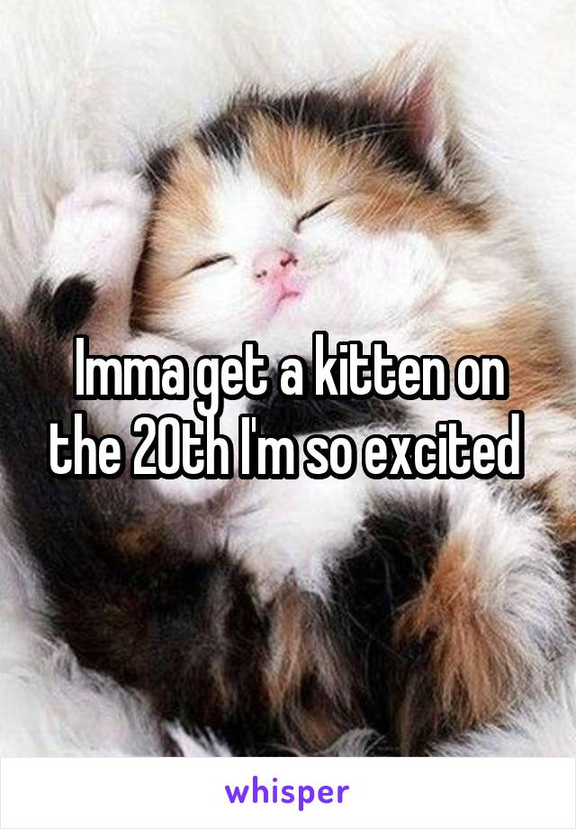 Imma get a kitten on the 20th I'm so excited 