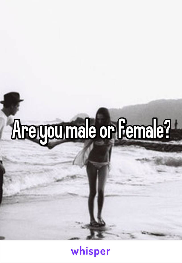 Are you male or female?