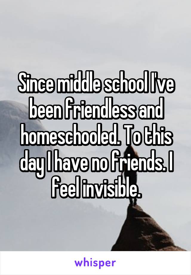 Since middle school I've been friendless and homeschooled. To this day I have no friends. I feel invisible.