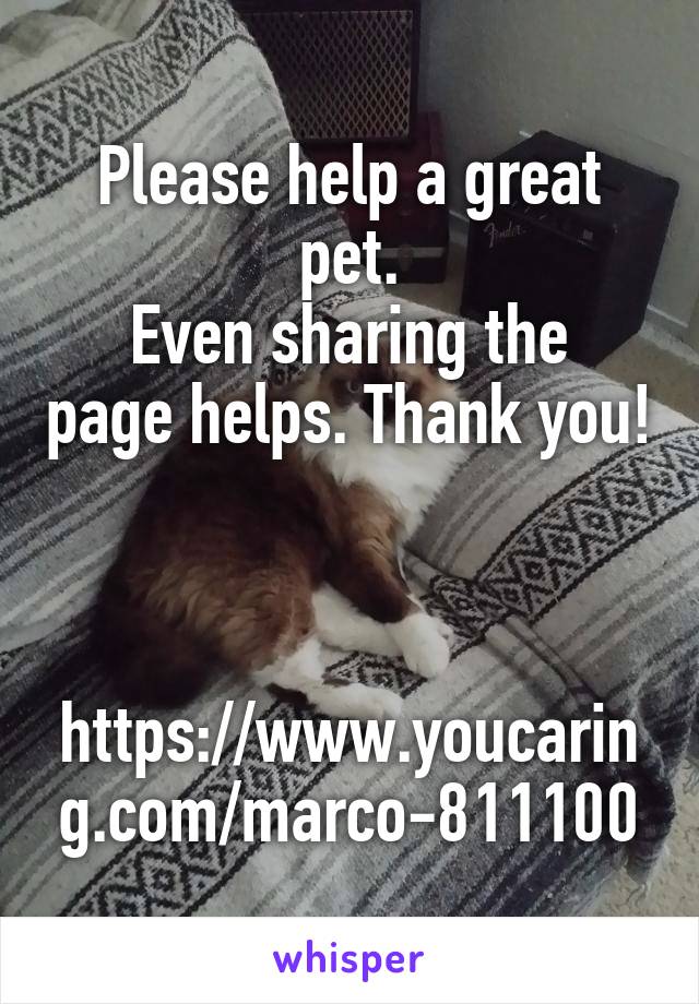 Please help a great pet.
Even sharing the page helps. Thank you!



https://www.youcaring.com/marco-811100