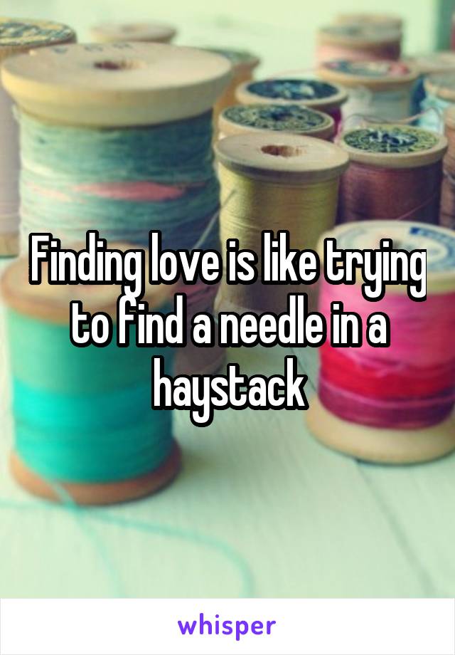 Finding love is like trying to find a needle in a haystack