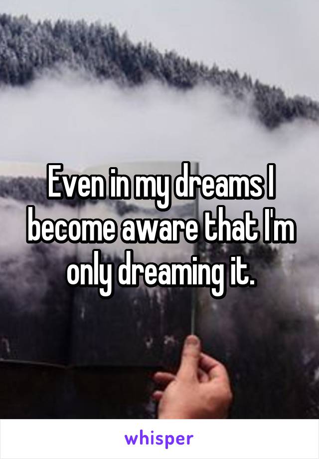 Even in my dreams I become aware that I'm only dreaming it.