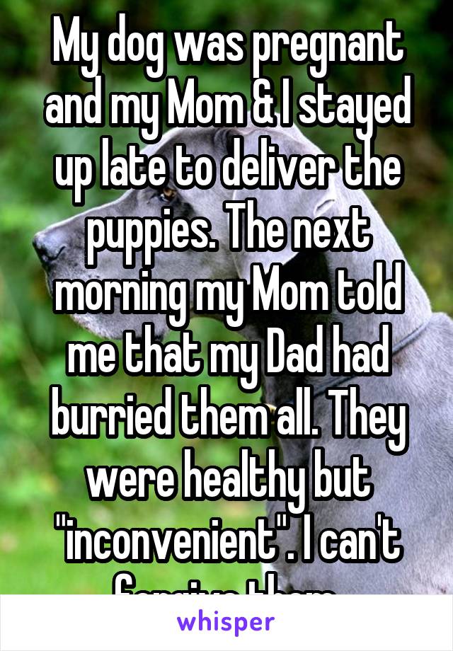 My dog was pregnant and my Mom & I stayed up late to deliver the puppies. The next morning my Mom told me that my Dad had burried them all. They were healthy but "inconvenient". I can't forgive them.