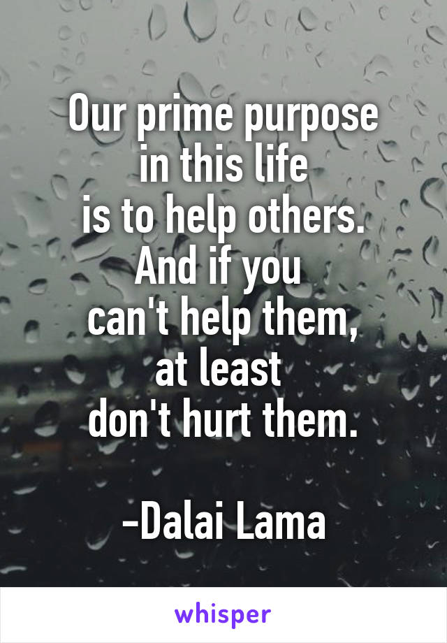 Our prime purpose
in this life
is to help others.
And if you 
can't help them,
at least 
don't hurt them.

-Dalai Lama