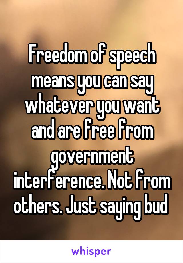 Freedom of speech means you can say whatever you want and are free from government interference. Not from others. Just saying bud 